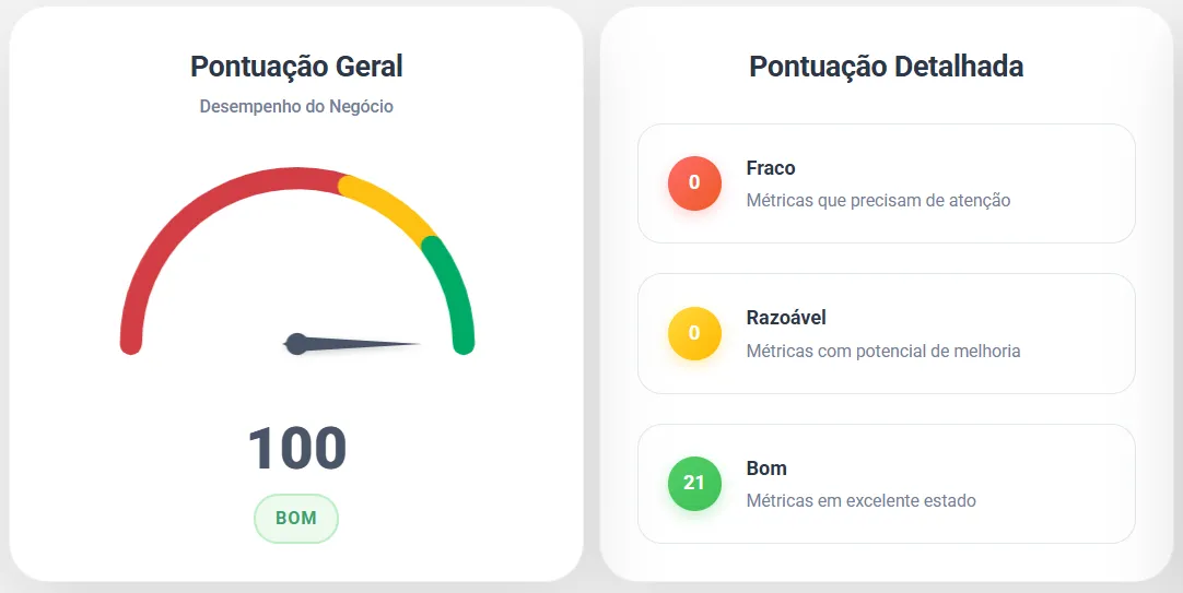 Análise de saúde do perfil no Google com pontuação 100
